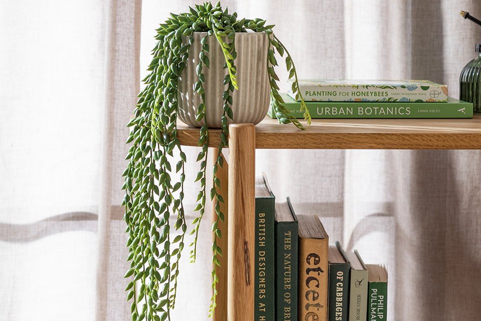 Habitat artificial trailing plant in a ribbed ceramic pot.